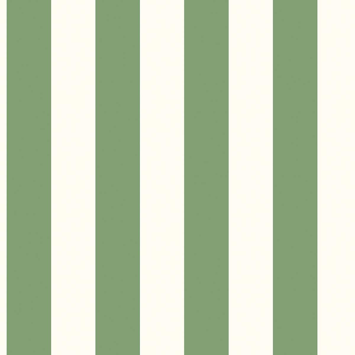 righe Bianco e Verde