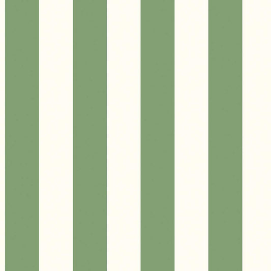 righe Bianco e Verde