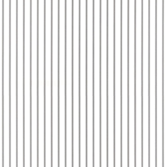 righe Nere profilate