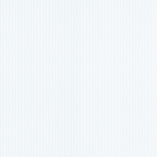 righe Azzurre e bianche sottili