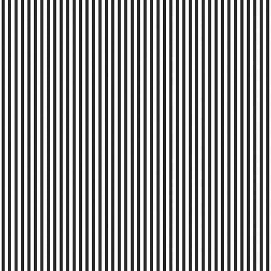 righe Nere e bianche sottili