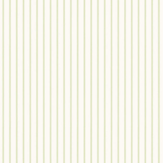 righe Verdi profilate